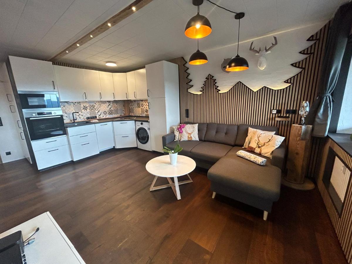 Apartment Fabelwald Black Forest ショナッハ エクステリア 写真